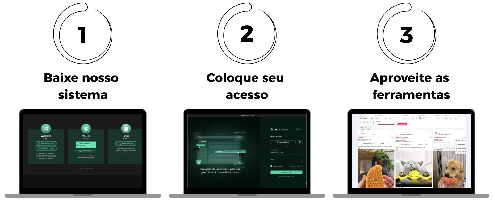 Como funciona a Gringatools em 3 passos