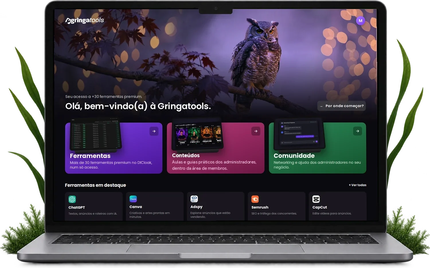 Notebook mostrando o painel da Gringatools